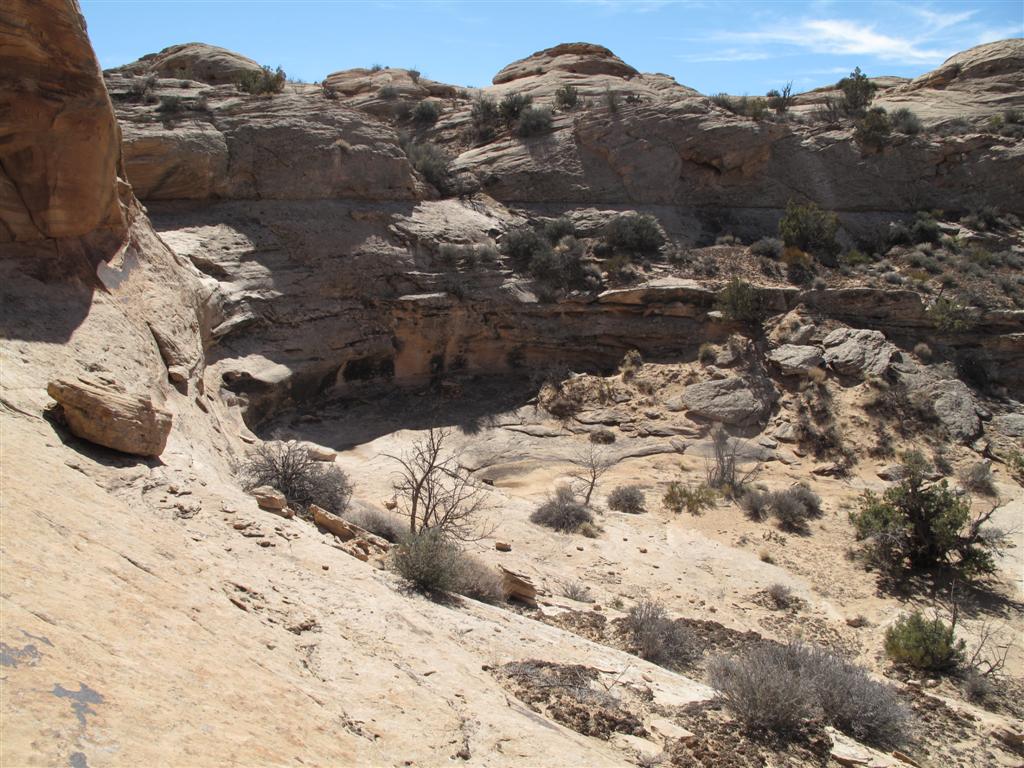 IMG_5591 (Large).JPG IMG_5591 (Large).JPG